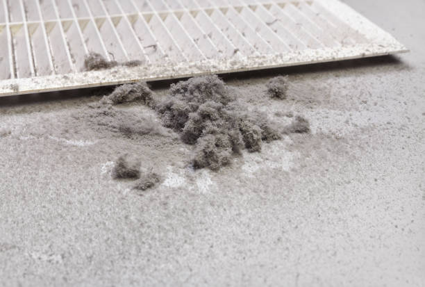 Best Air Duct Cleaning Near Me  in Rock Port, MO