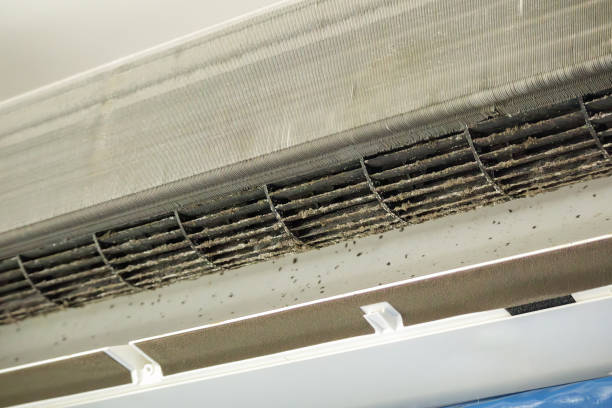 Best Air Duct Cleaning Near Me  in Rock Port, MO